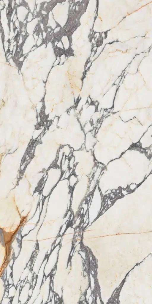 PF60009341 Arabescato Lapp. 3d Ret 60x120 Ariana