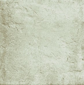 Anticatto Bianco 22,5х22,5 Natucer