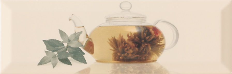 Decor Gourmet Tea 10x30 Monopole Ceramica