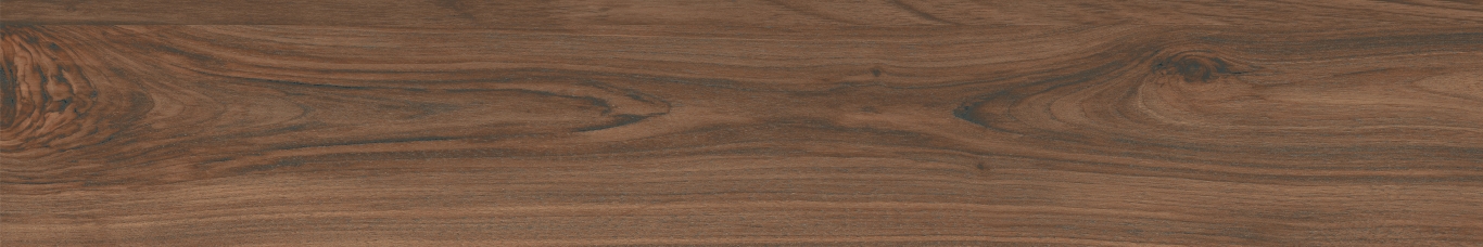 Boutonne Cognac Pulido R 20x120 Baldocer