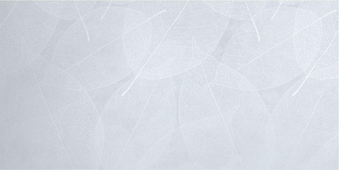 Eleganza Sky Arte Carving 60x120 Infinity Ceramica