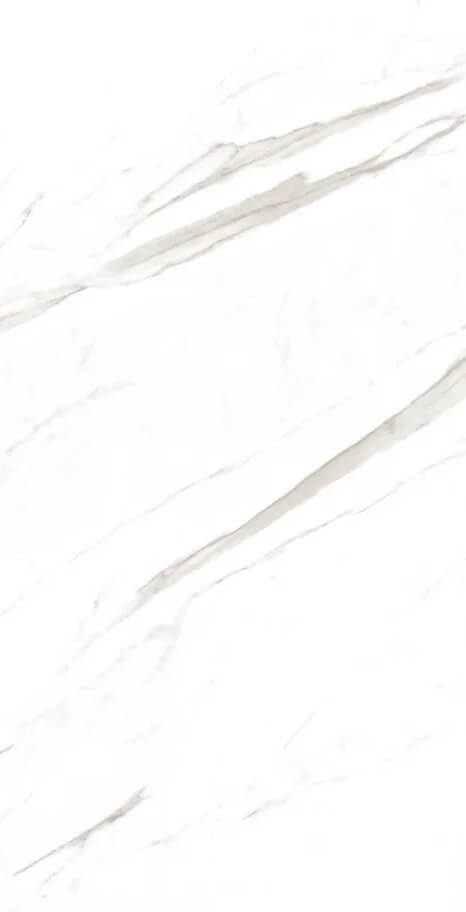 Marble Super Satvario 120x60 Artcer