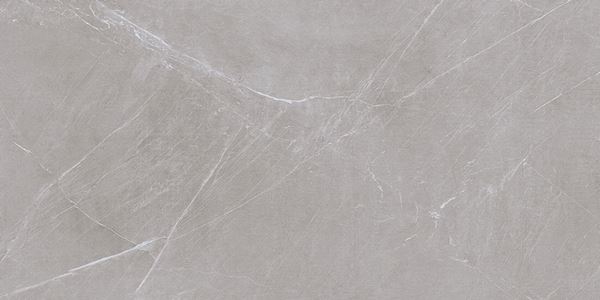 Atlas Grey 60x120 Gravita