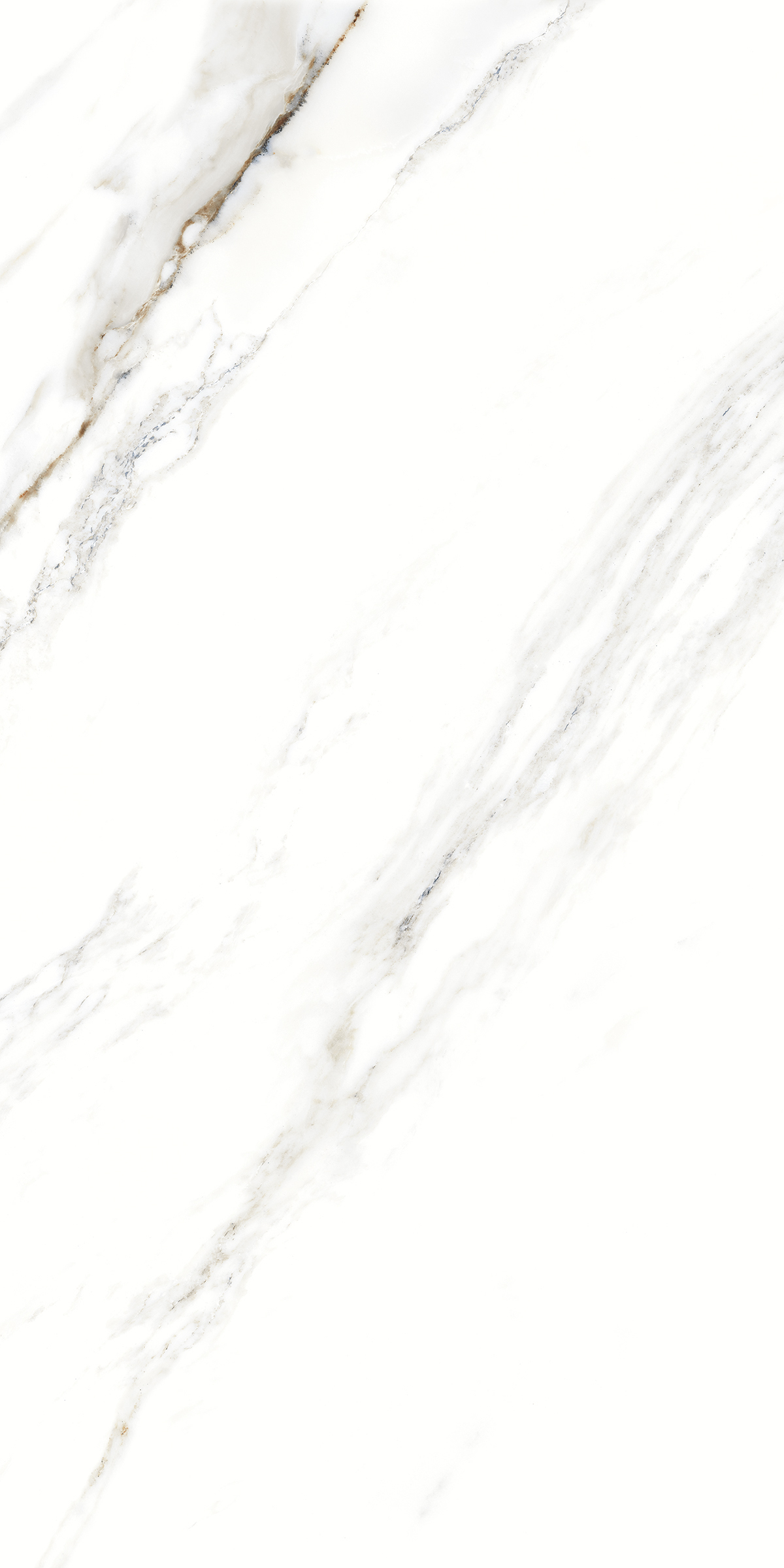 893 Fantastic White 120x60 Artcer