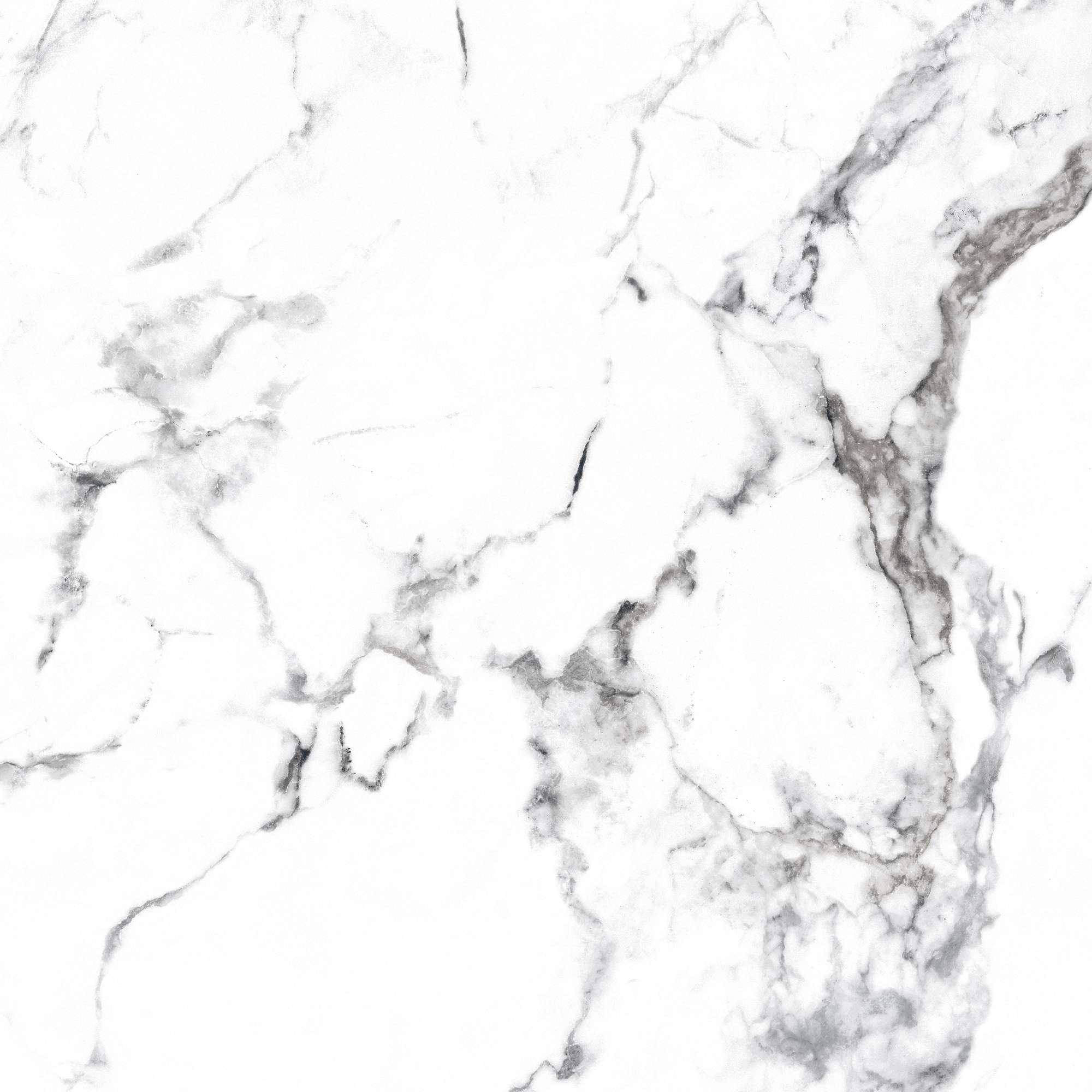 CR4006-A Borghini Silver Carving 60x60 Arcadia Ceramica