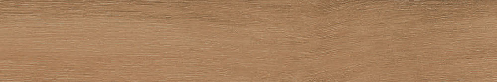 Bremen Sherwood 10x60 Ribesalbes