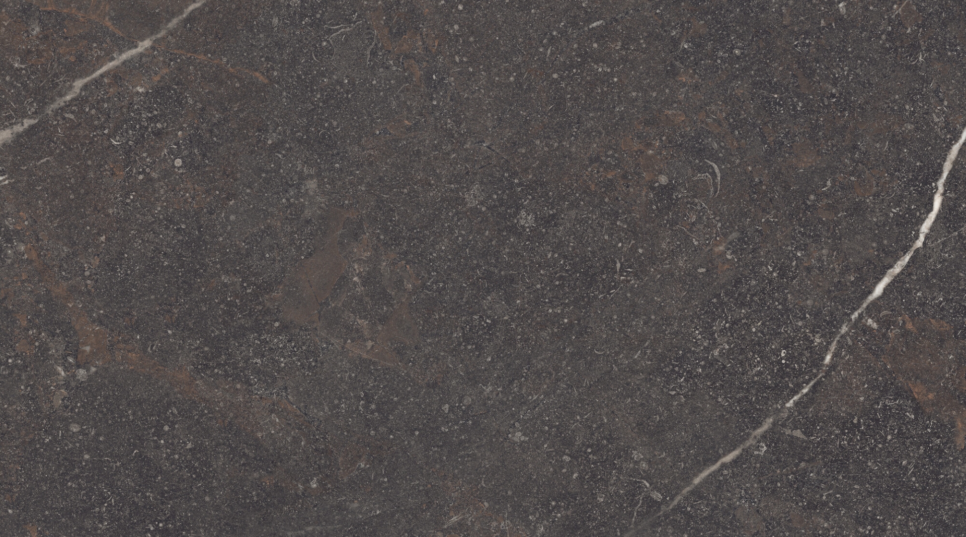 42912 Royal Brown SP/100X180/R 100x180 Peronda фото 14