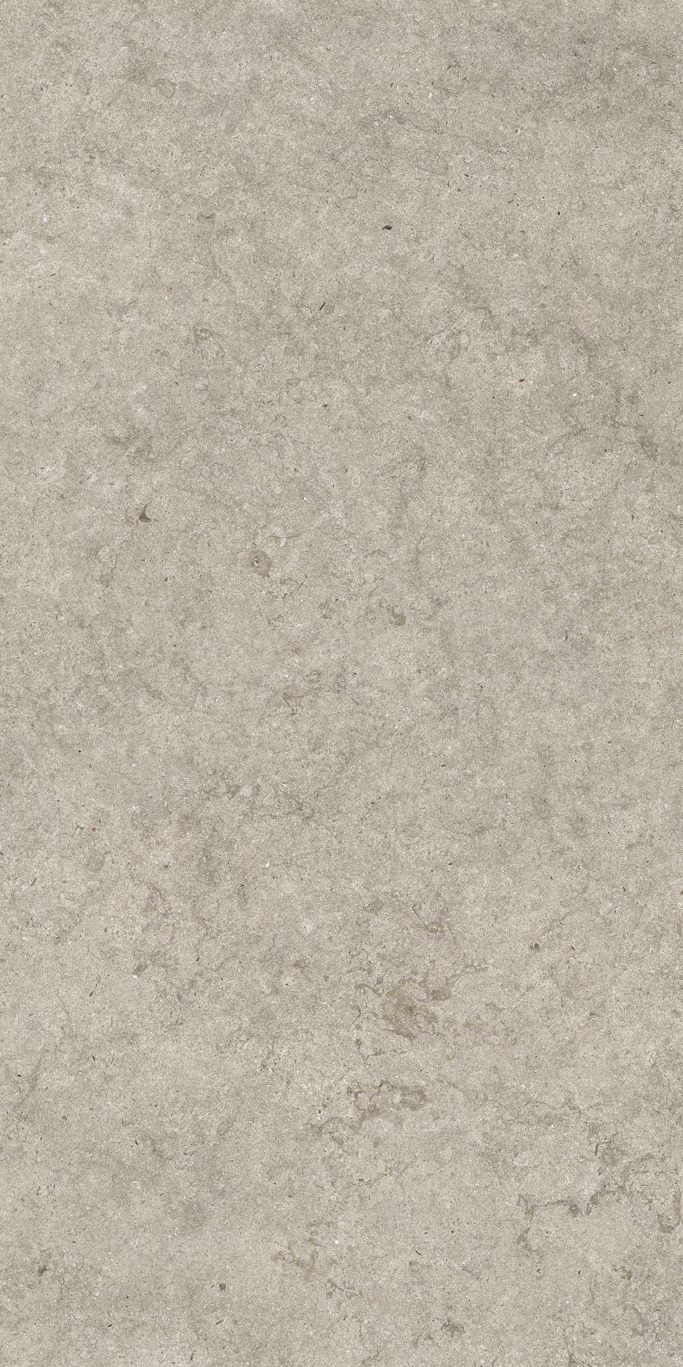 610010003142 Саленто Грэй Рет 60x120 ColiseumGres фото 2