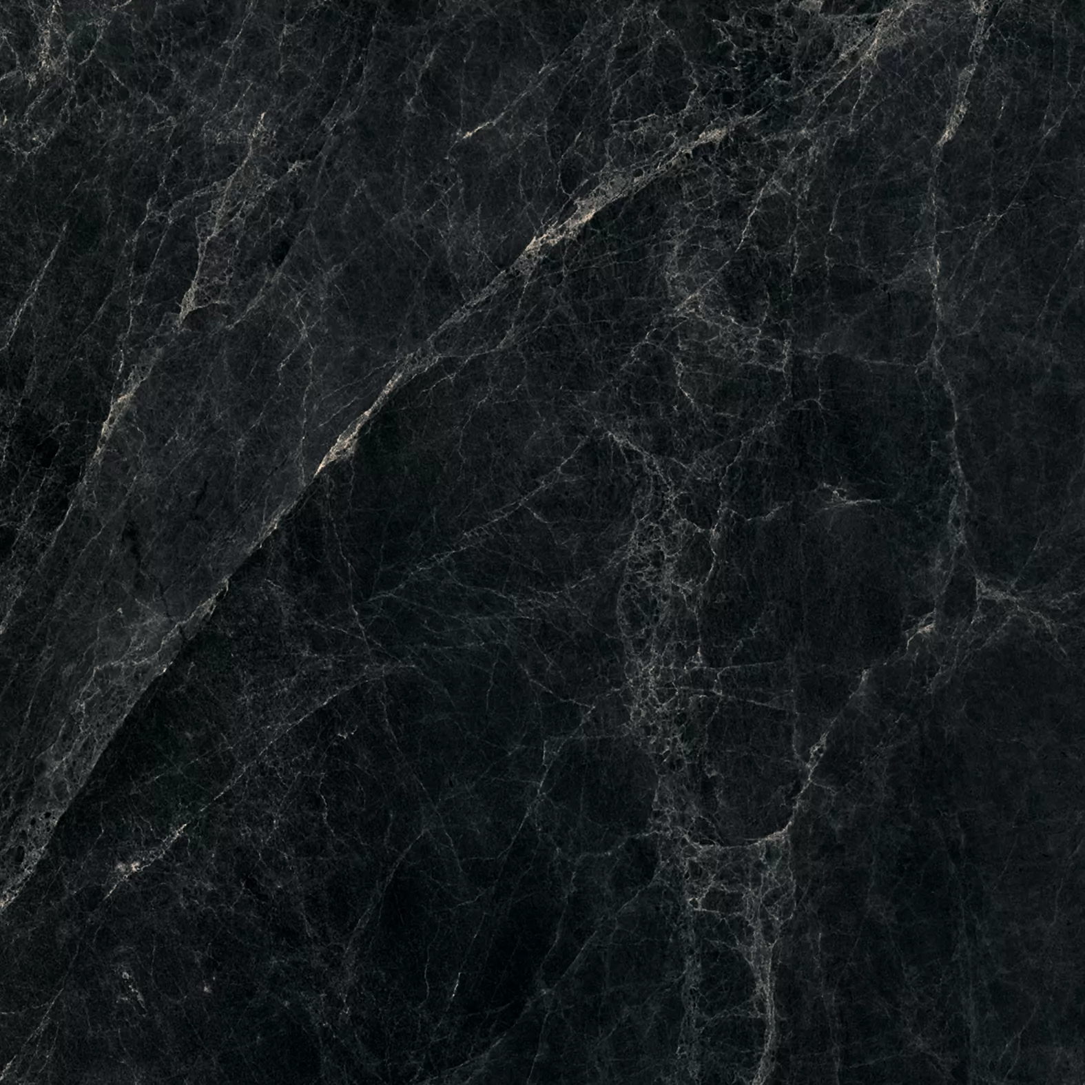 Worner Black sugar lapp. 60x60 Bluezone фото 14