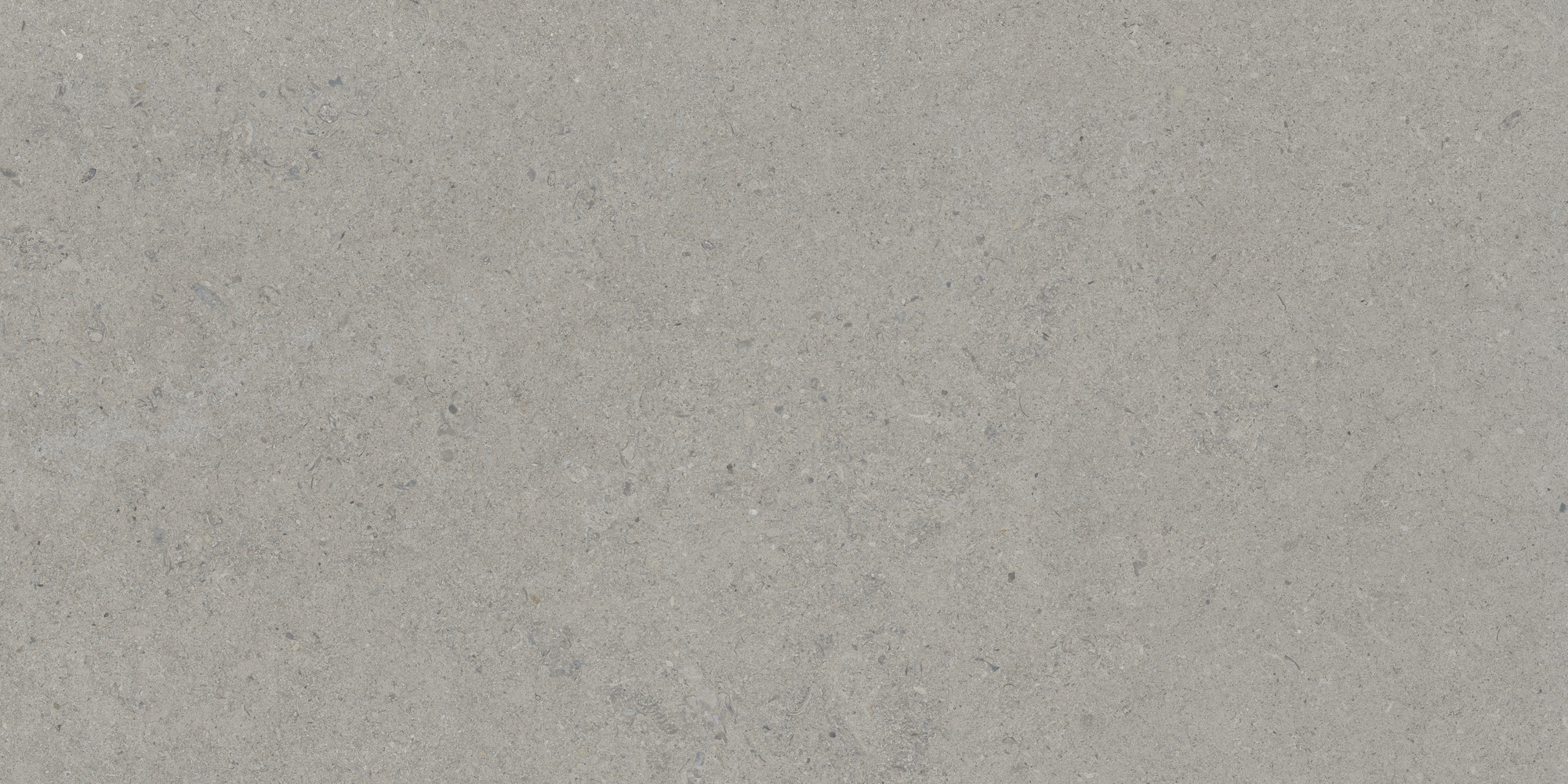 Calcare Silver 60x120 TAU Ceramica фото 5