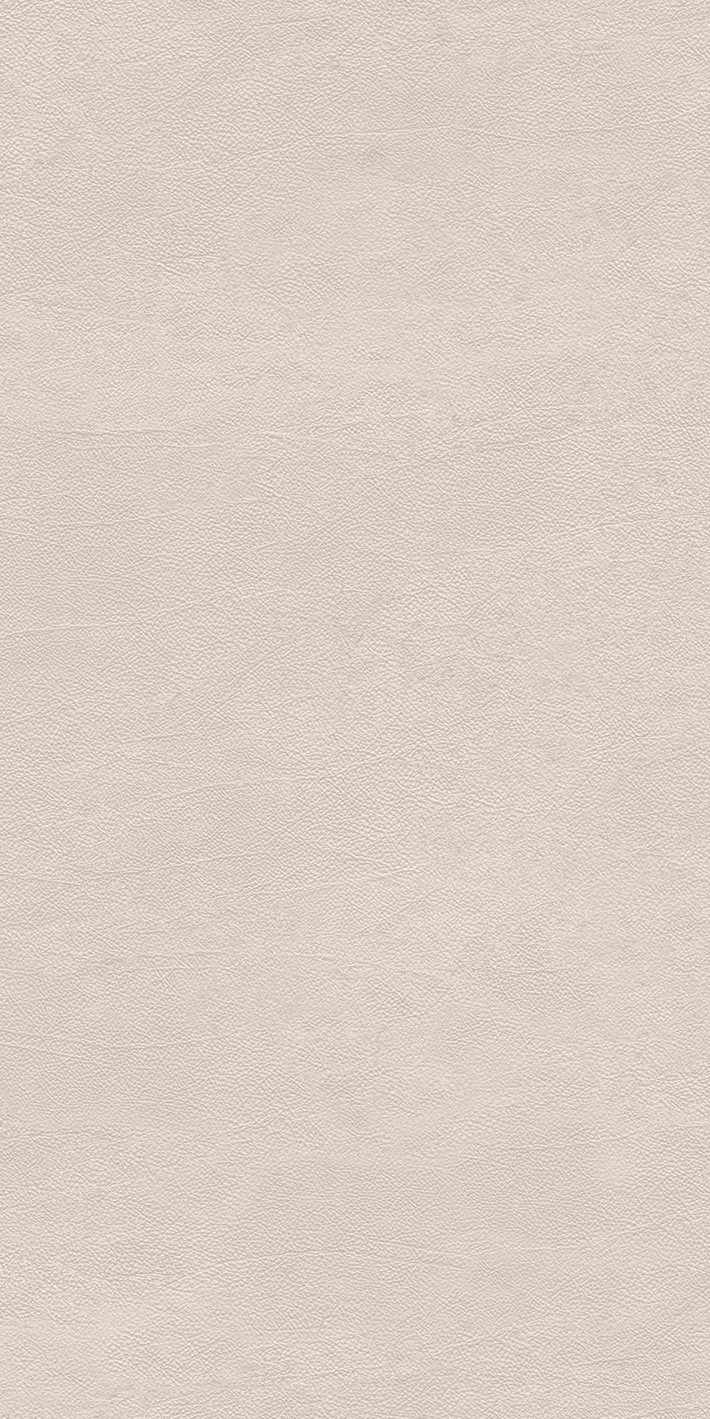 769474 Chimera Radici Beige Mat Ret 6mm 60x120 Cedit