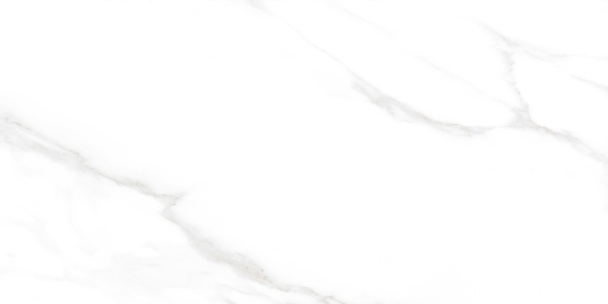 Carrara Excellent Silver Белый Матовый 60х120 Ceradim