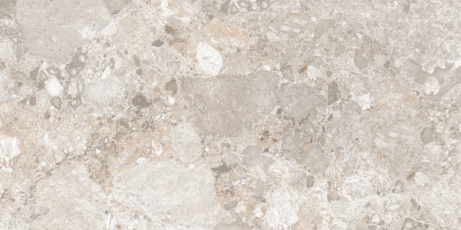 Venus Fossil Double Digital 60x120 Realistik