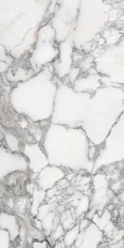 SS12046 Luxury Stone Pol 60x120 Fusure Ceramic