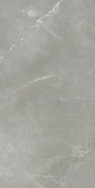 744878 Timeless Amani Grey Nat Ret 60x120 Cerim