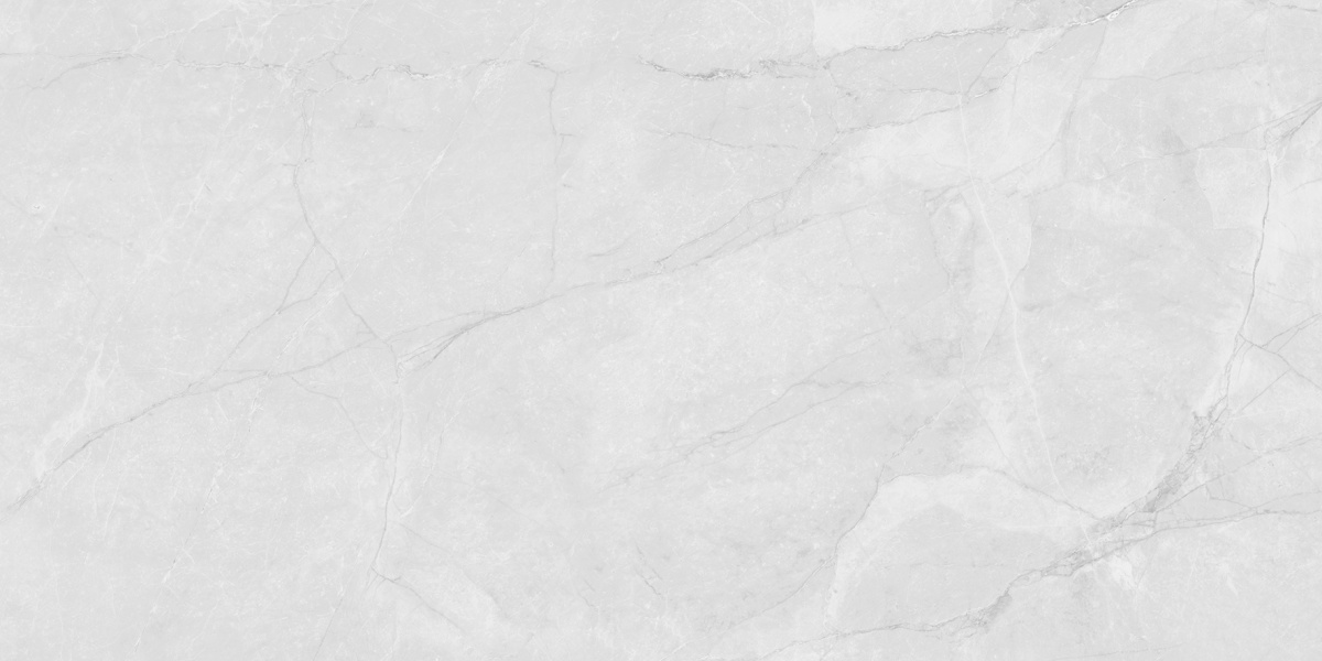 LP6012G0231R Berna Silver светло-серый матовый 59,5х119,1 Laparet