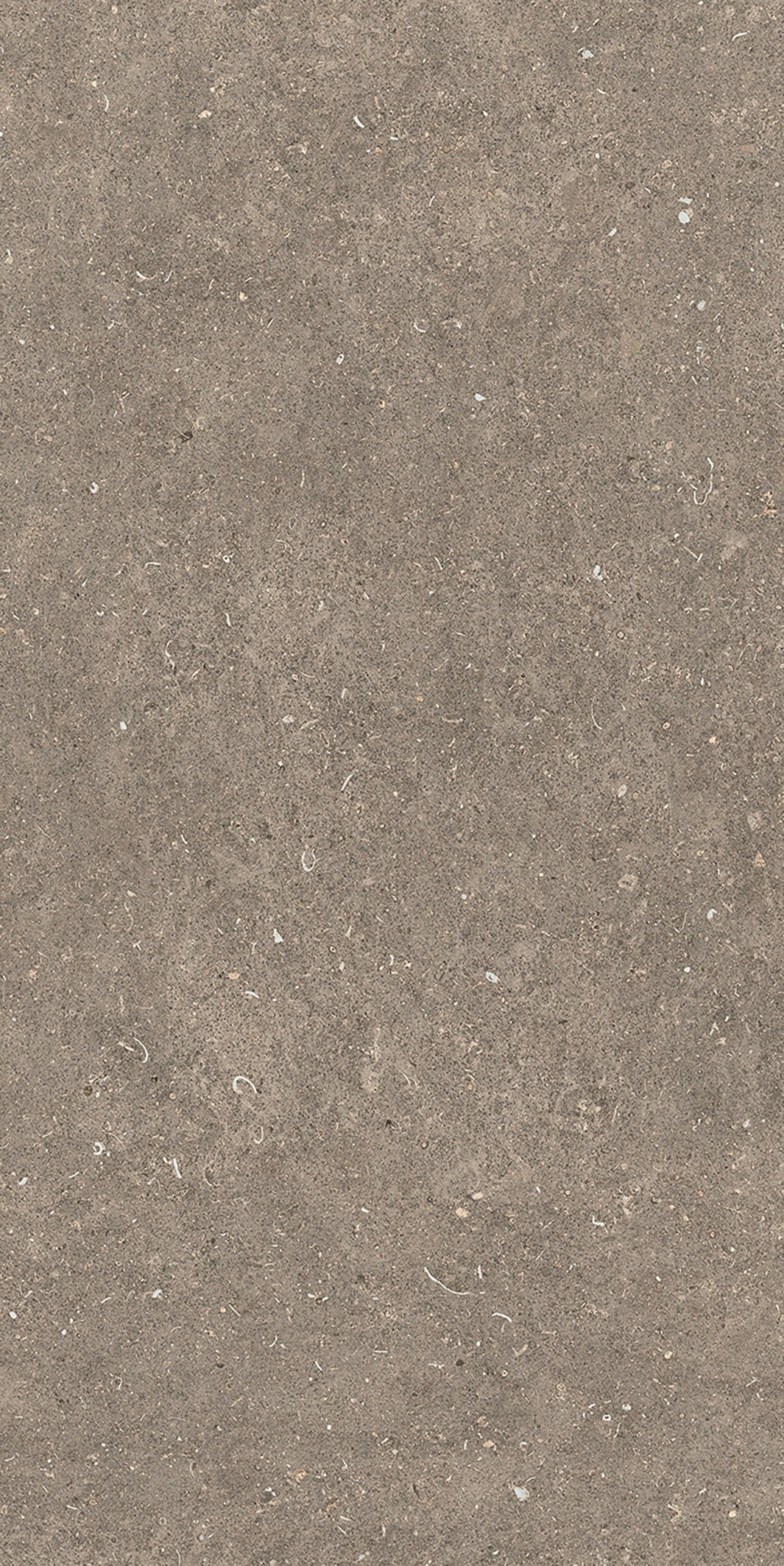 785576 Rinascenza Arena Pietra Matte 6mm 60x120 Casa Dolce Casa фото 6