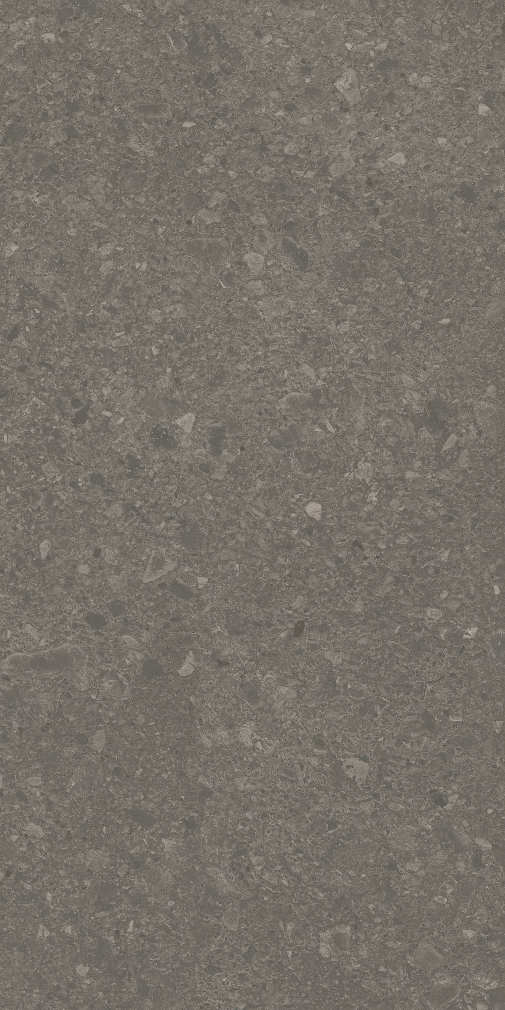 DD591700R Чеппо ди Гре коричневый матовый обрезной 119,5x238,5x1,1 Kerama Marazzi