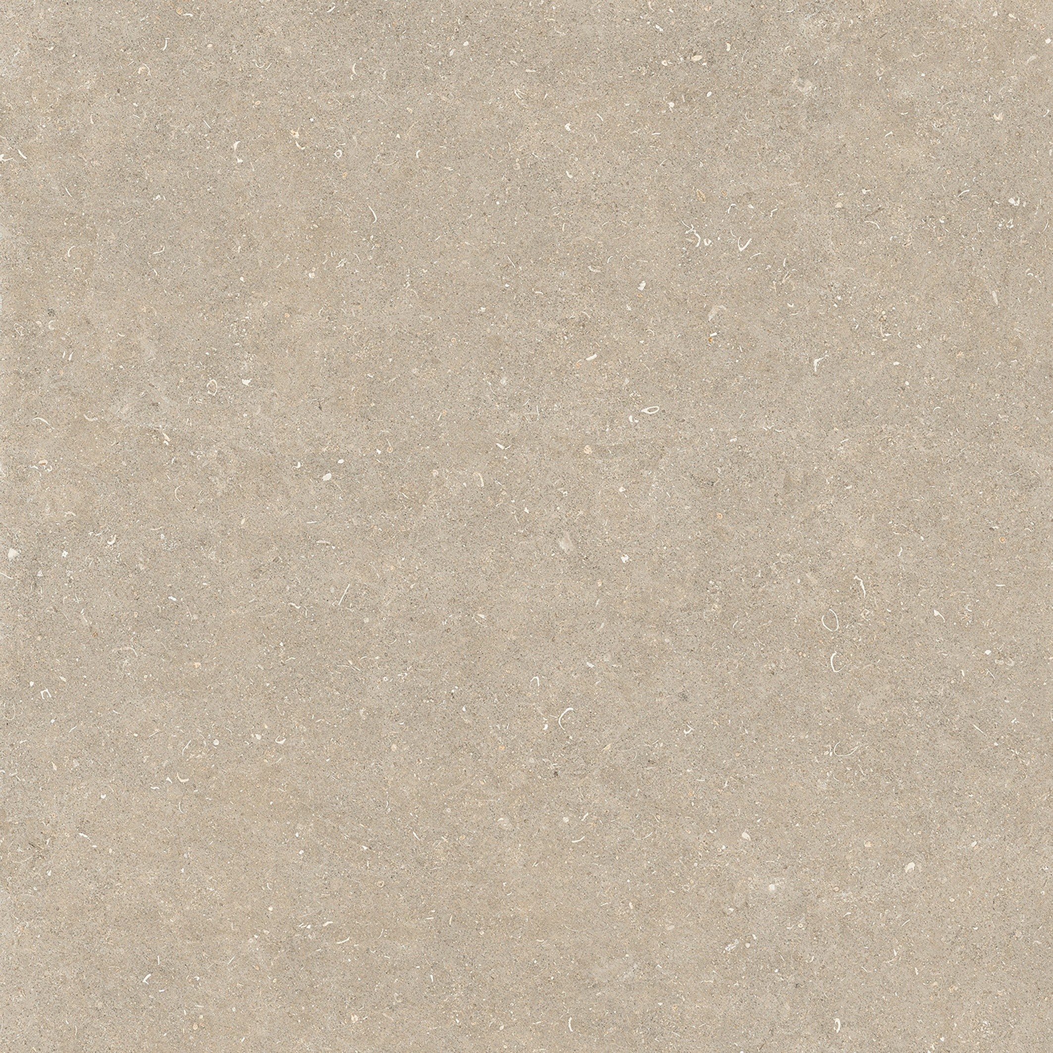 785579 Rinascenza Arena Conchiglia Matte 6mm 120x120 Casa Dolce Casa фото 2