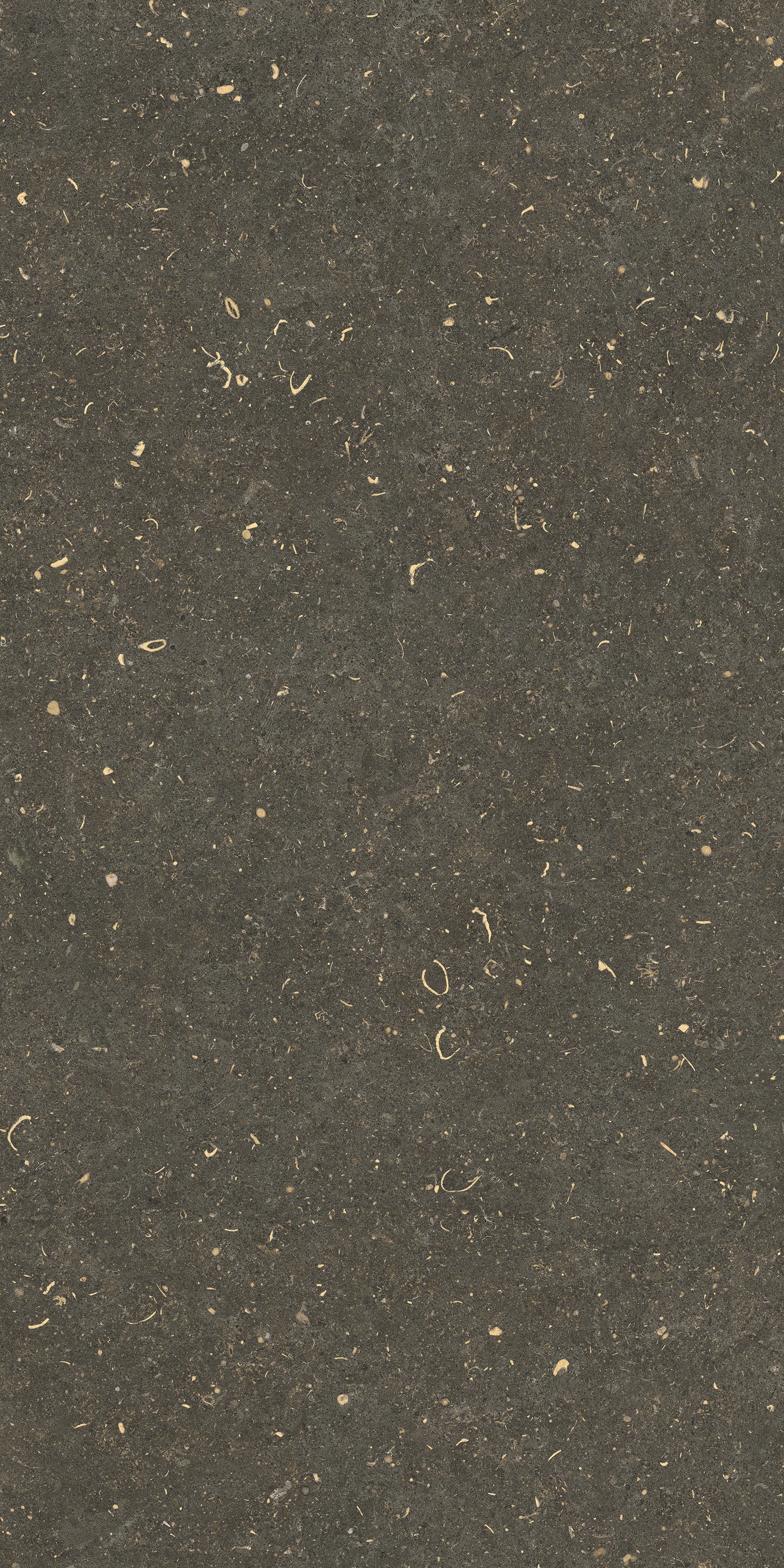 785495 Rinascenza Arena Platino Grip 60x120 Casa Dolce Casa фото 7