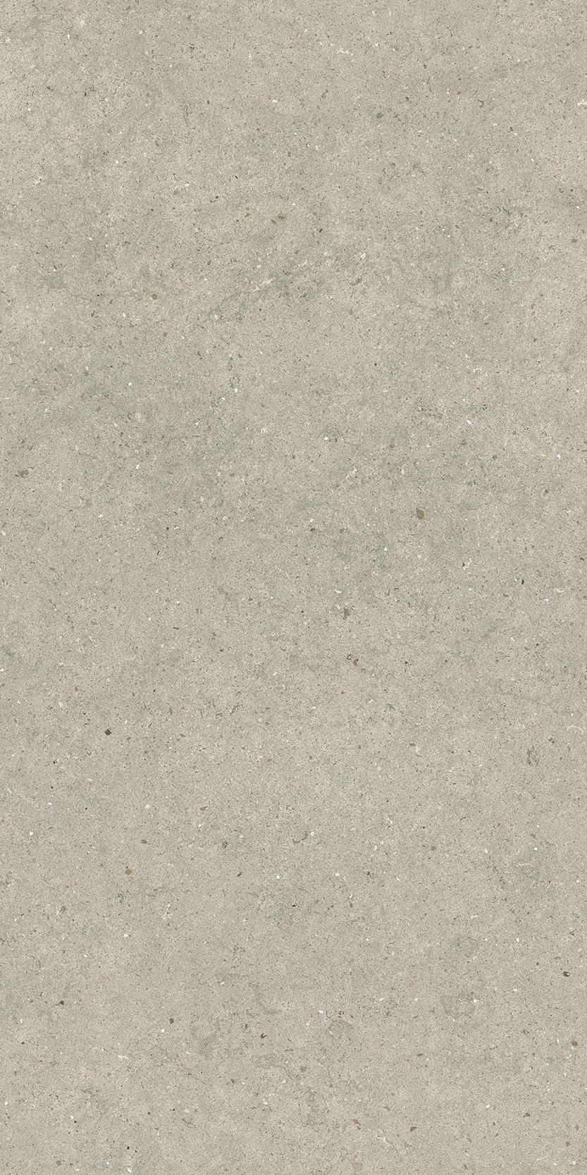 610010004170 Forum Stone Desert Ret 60x120 Italon