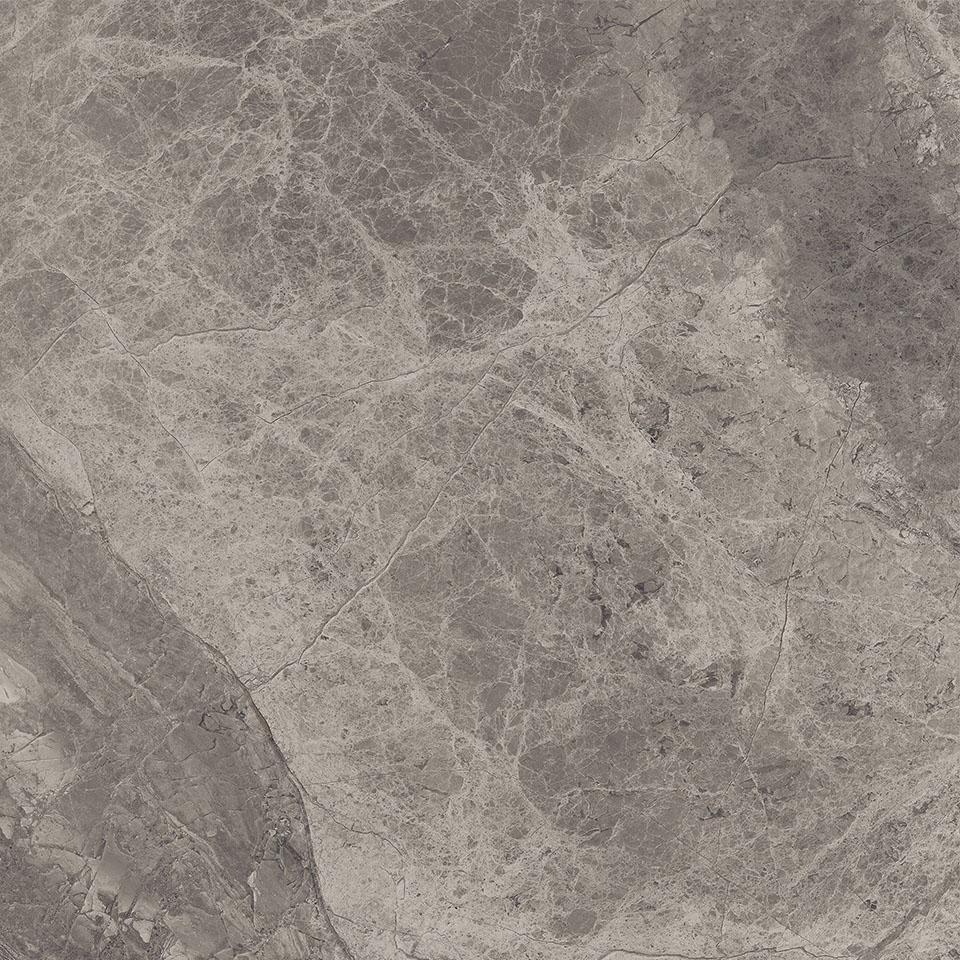 75389 Supreme Grey Ret 60x60 Cerdomus фото 10