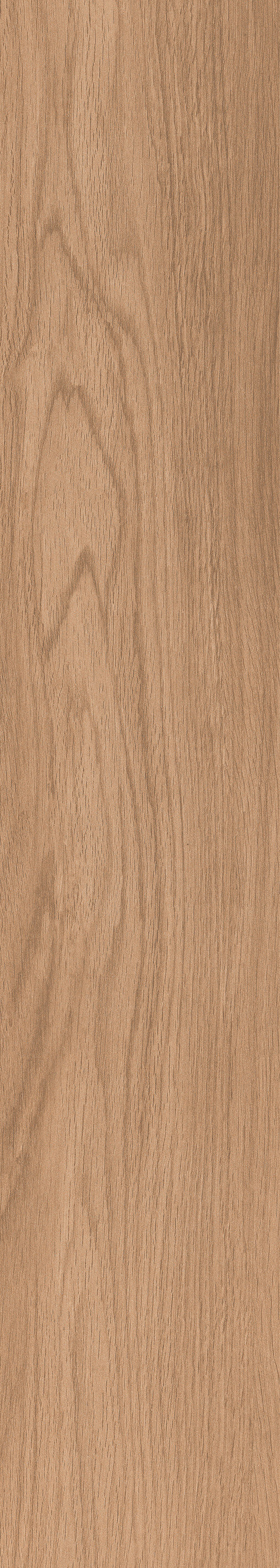 1057 Torino Brown Mate 120x20 Artcer
