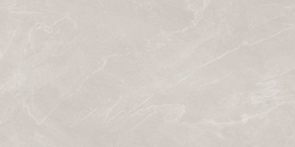 Archie Bianco Pro светло-серый матовый R10GR STR 60х120 Laparet