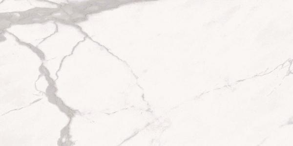 D1262809BM Statuario Calacatta POL 120x60 Gani