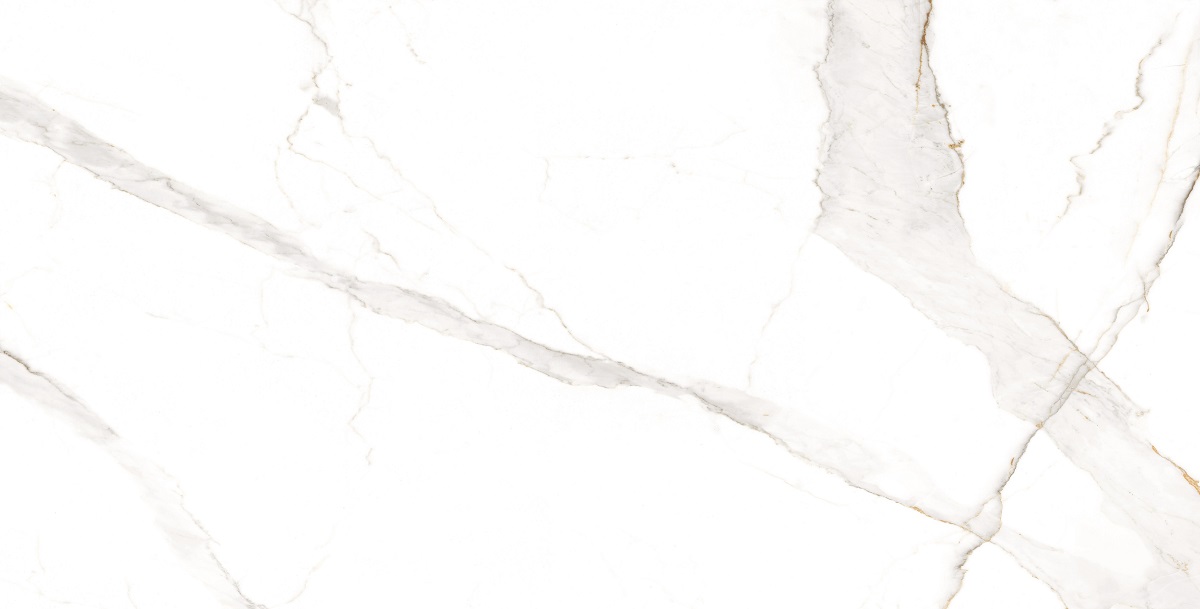 Calcatta White Carving Rectificado 60x120 Nice Ceramic