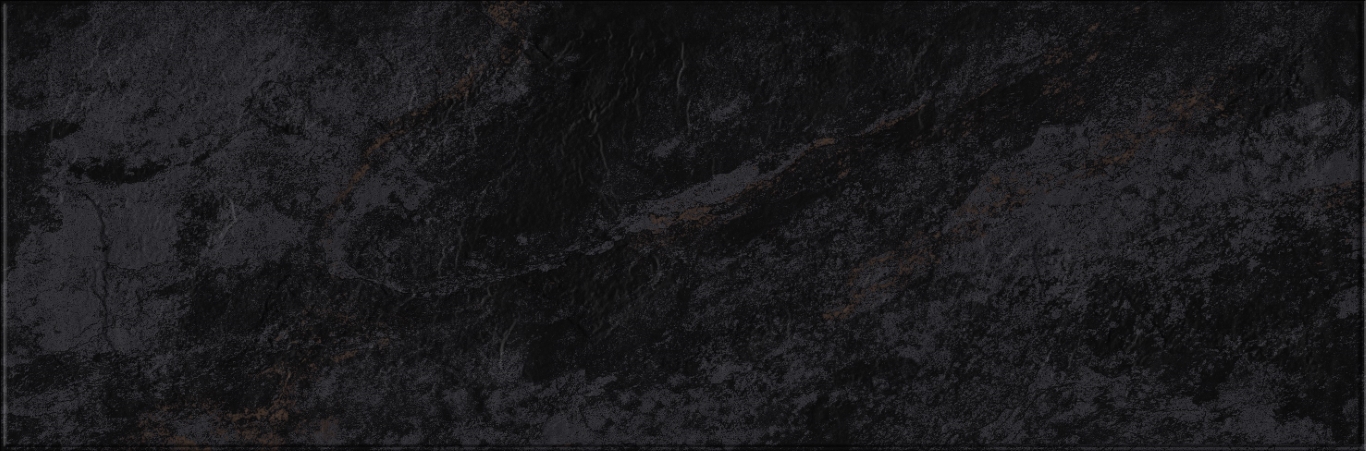 618 Image Dark 32,5х100 Eurotile Ceramica
