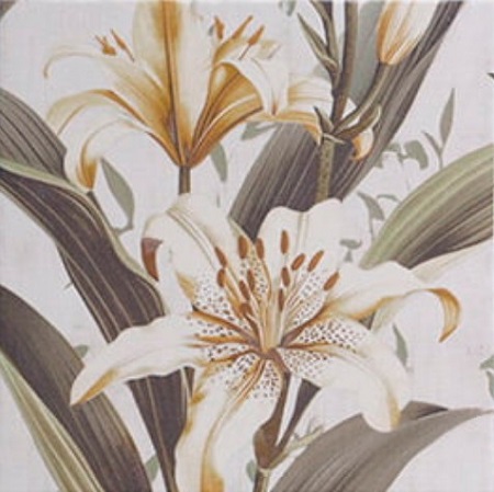 Secrets White 20x20 Mainzu