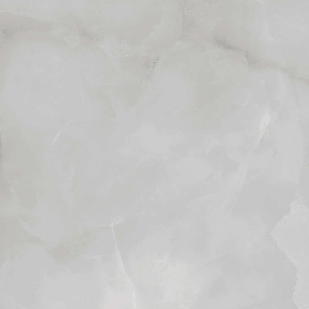 PR145 Vilema Grey Polished 60x60 PrimaVera