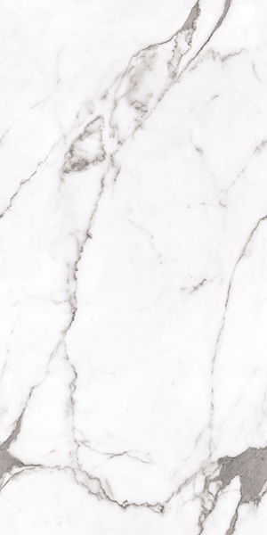 R0010-GL Great Statuario полированный 600x1200 AVS
