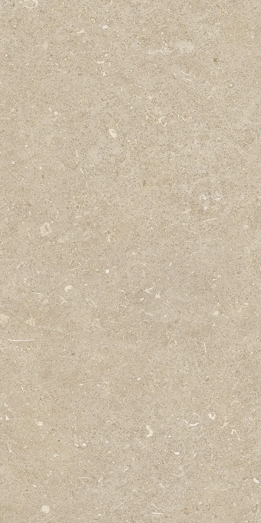 785489 Rinascenza Arena Conchiglia Matte 30x60 Casa Dolce Casa