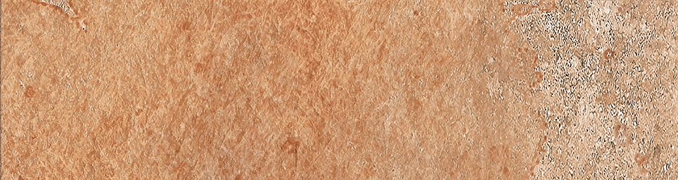 Айдахо 4 коричневый 245x65 Керамин фото 8