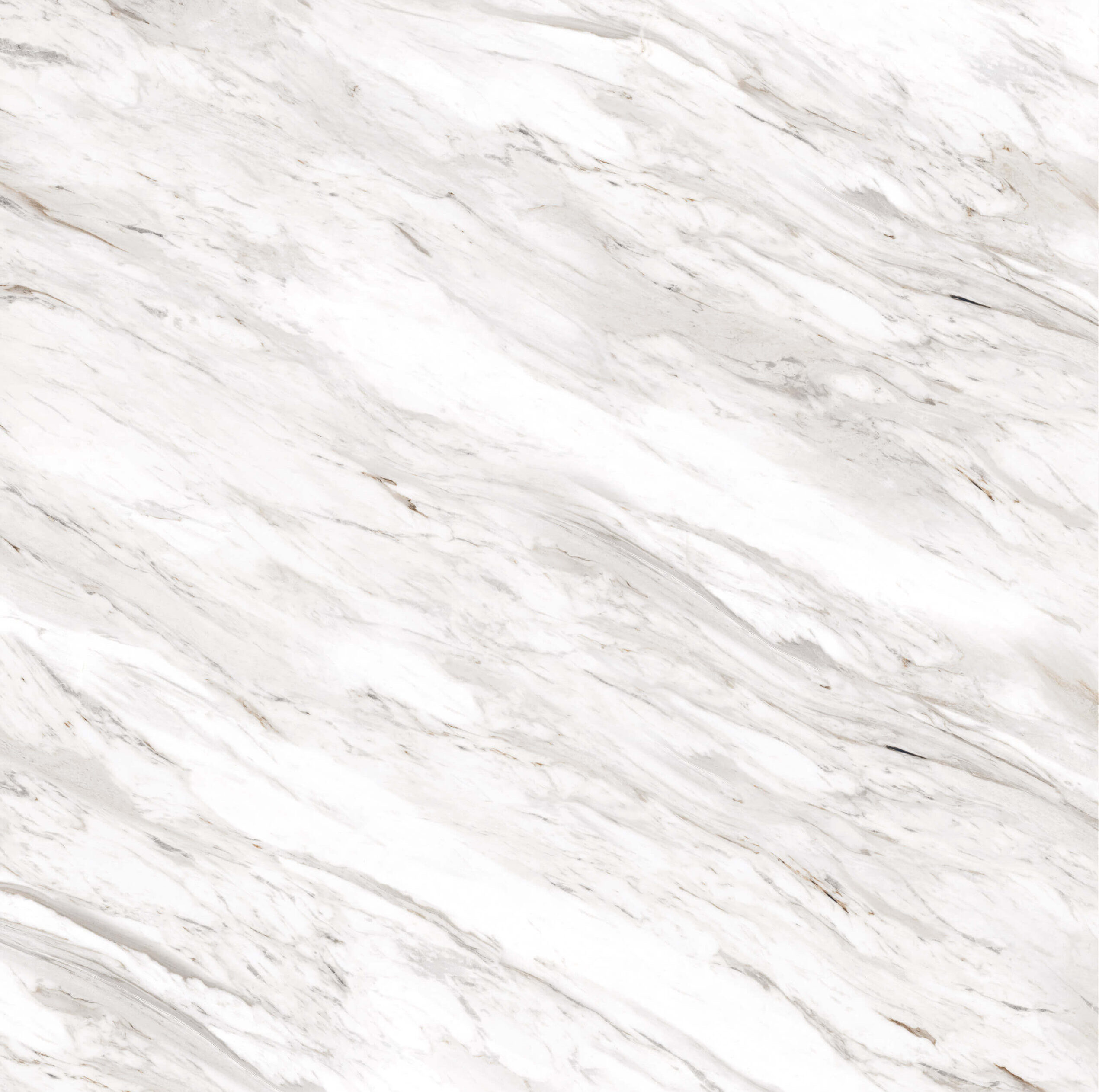 166736 Rafaelo Polished 60x60 Pardis Ceramic Pazh