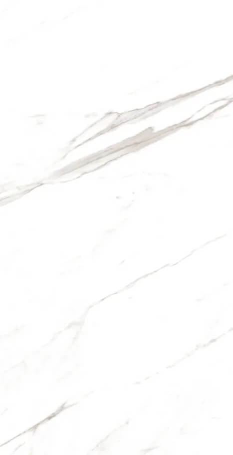 Marble Super Satvario 120x60 Artcer