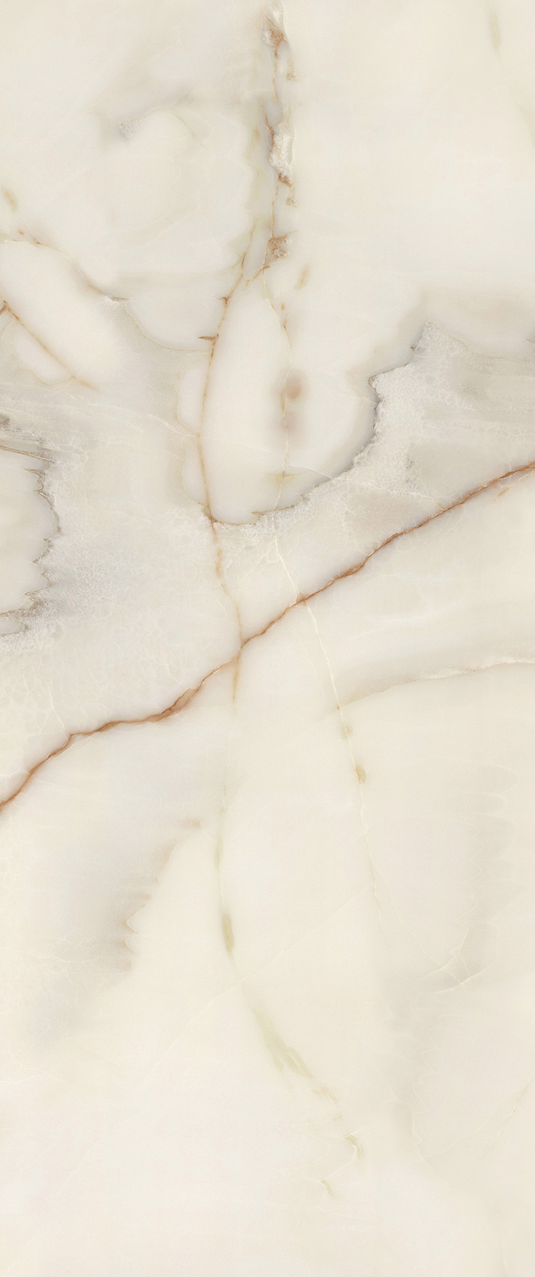 Onix Blanco Glossy 120x270 FMAX