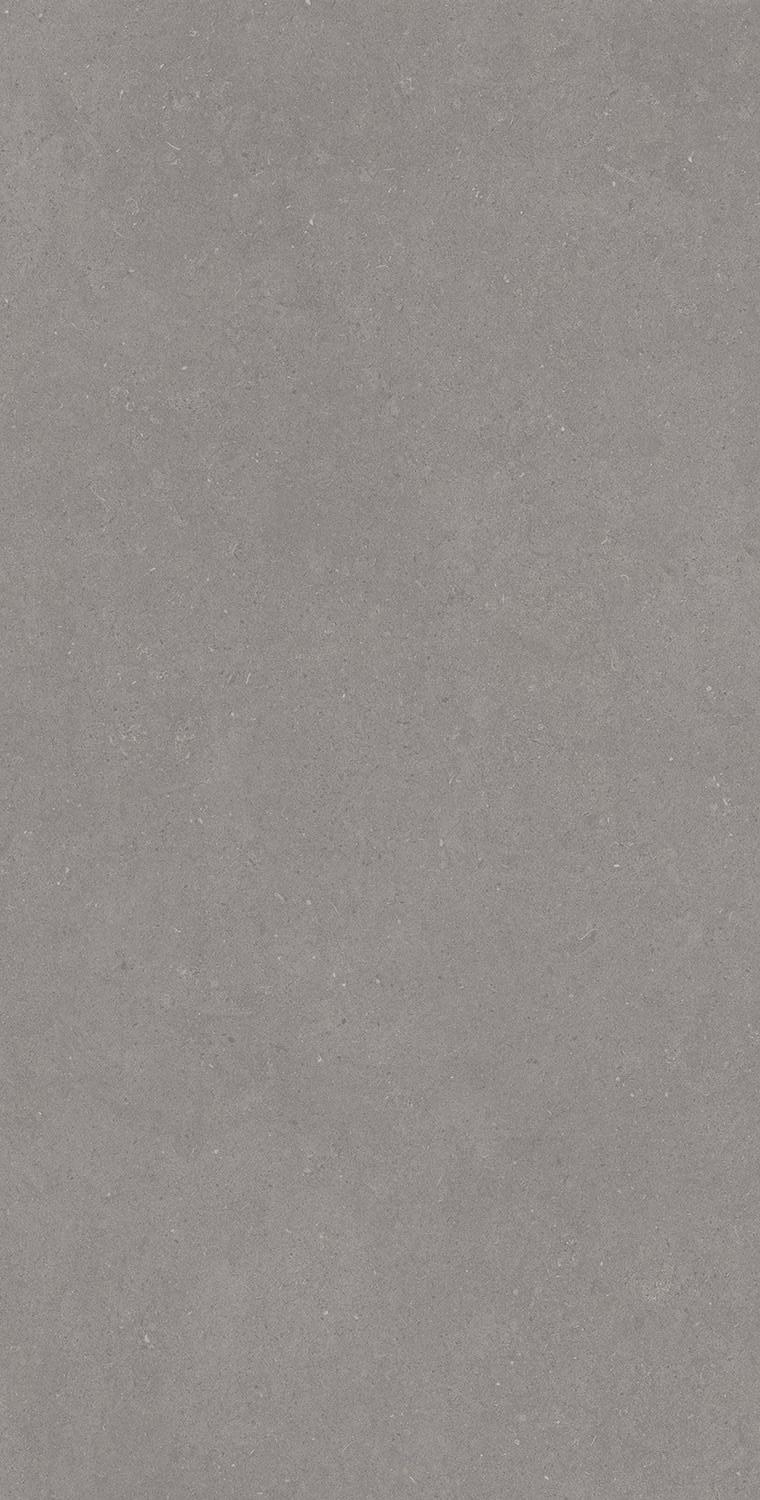 Active Grey 120x240 Baldocer