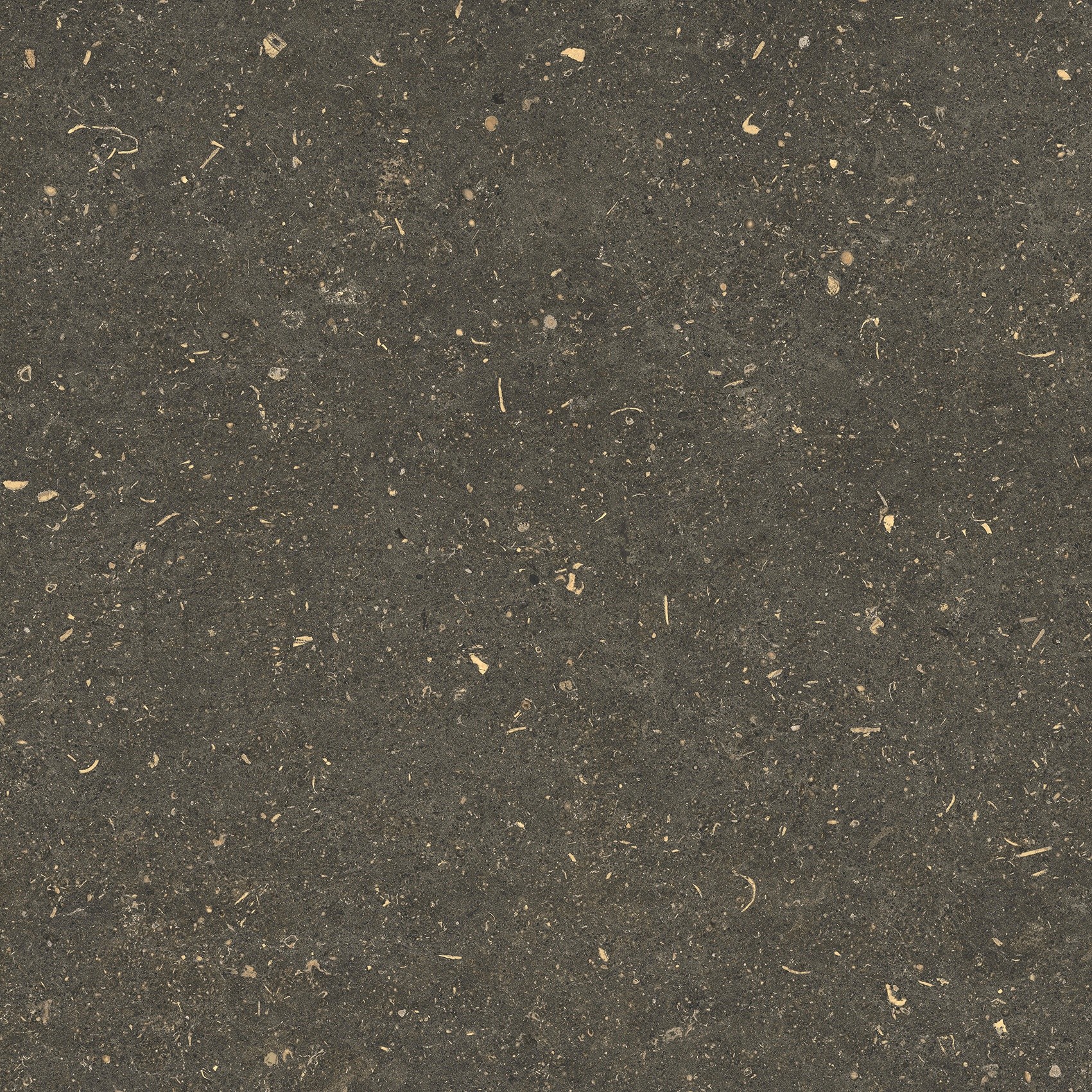 785487 Rinascenza Arena Platino Matte 60x60 Casa Dolce Casa фото 8