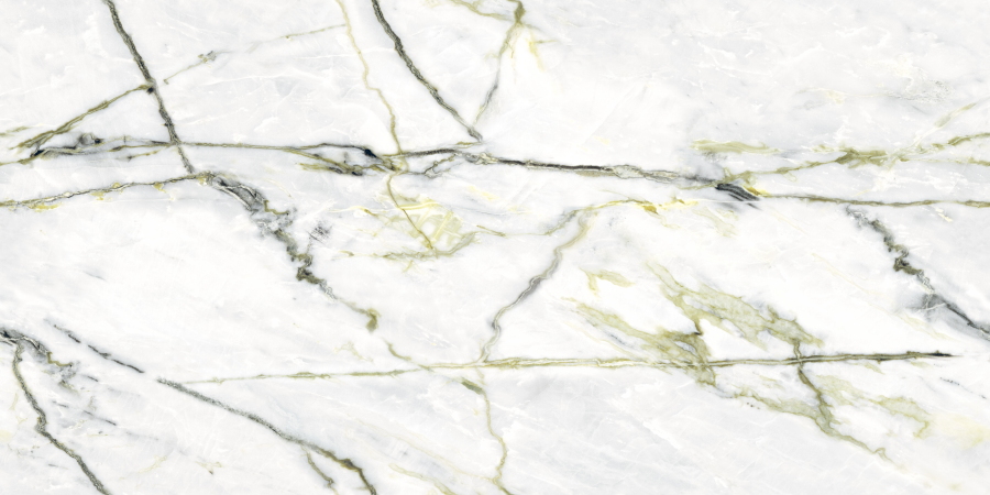 N40012 Calacatta Green (Book) Polished 60x120 Neodom