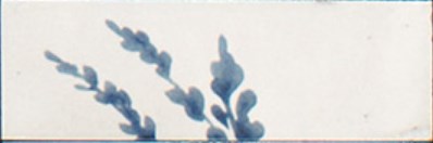 M96T Rice Bianco dec Leaf Lux 5x15 MARAZZI Italy