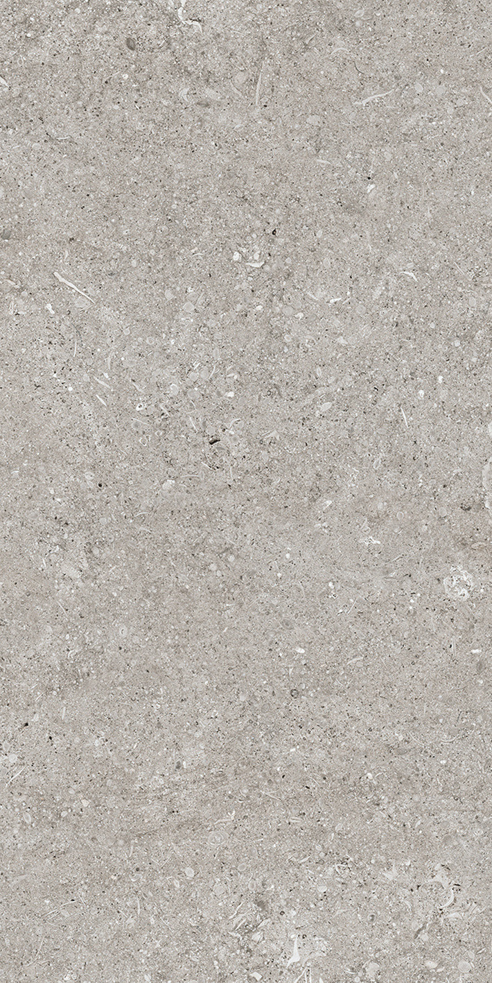 768342 Sensi Grey Fossil Ret 40x80 Casa Dolce Casa