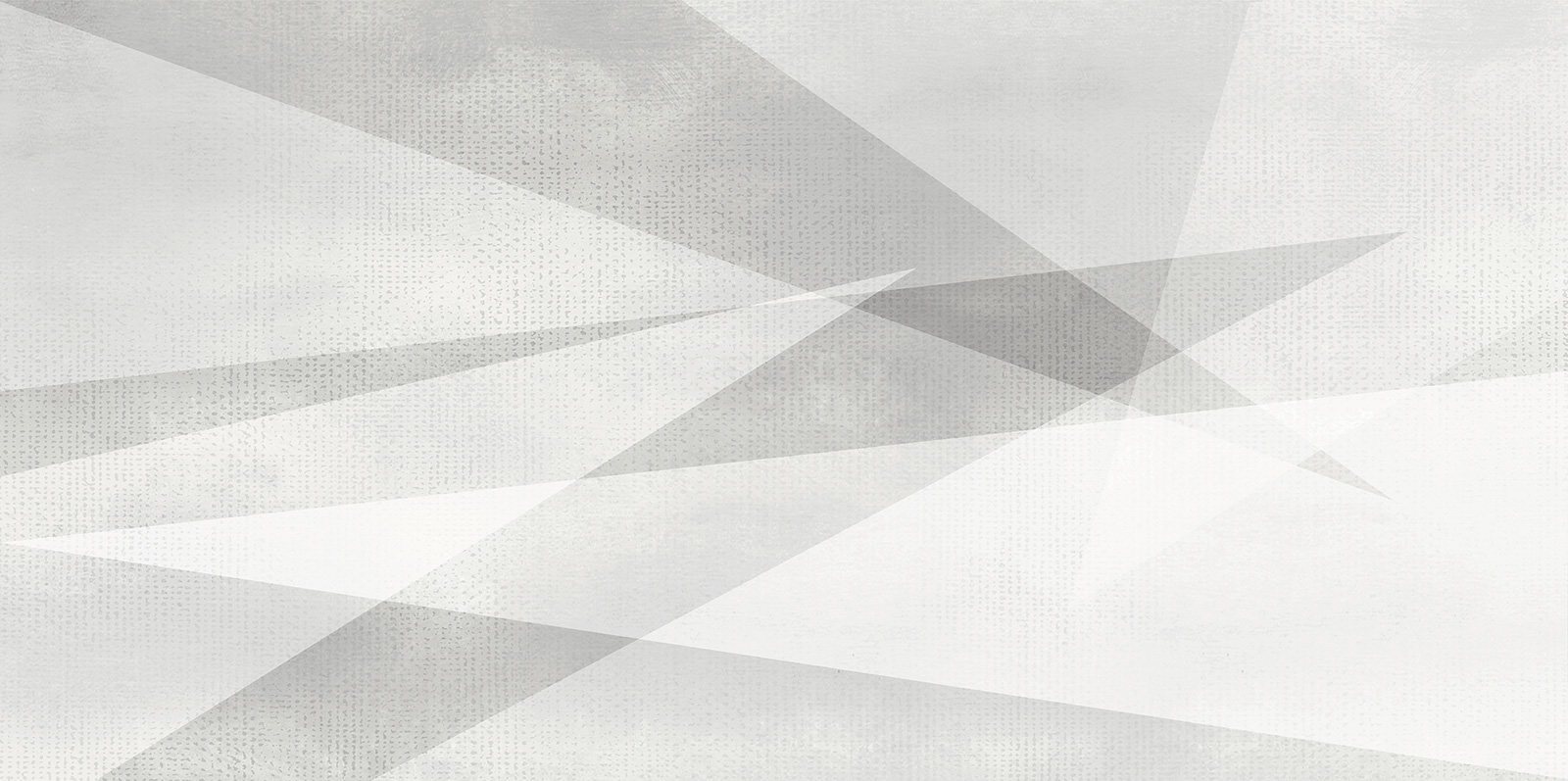 WT9SHG00 Shape Geometric White 24.9х50 AltaCera
