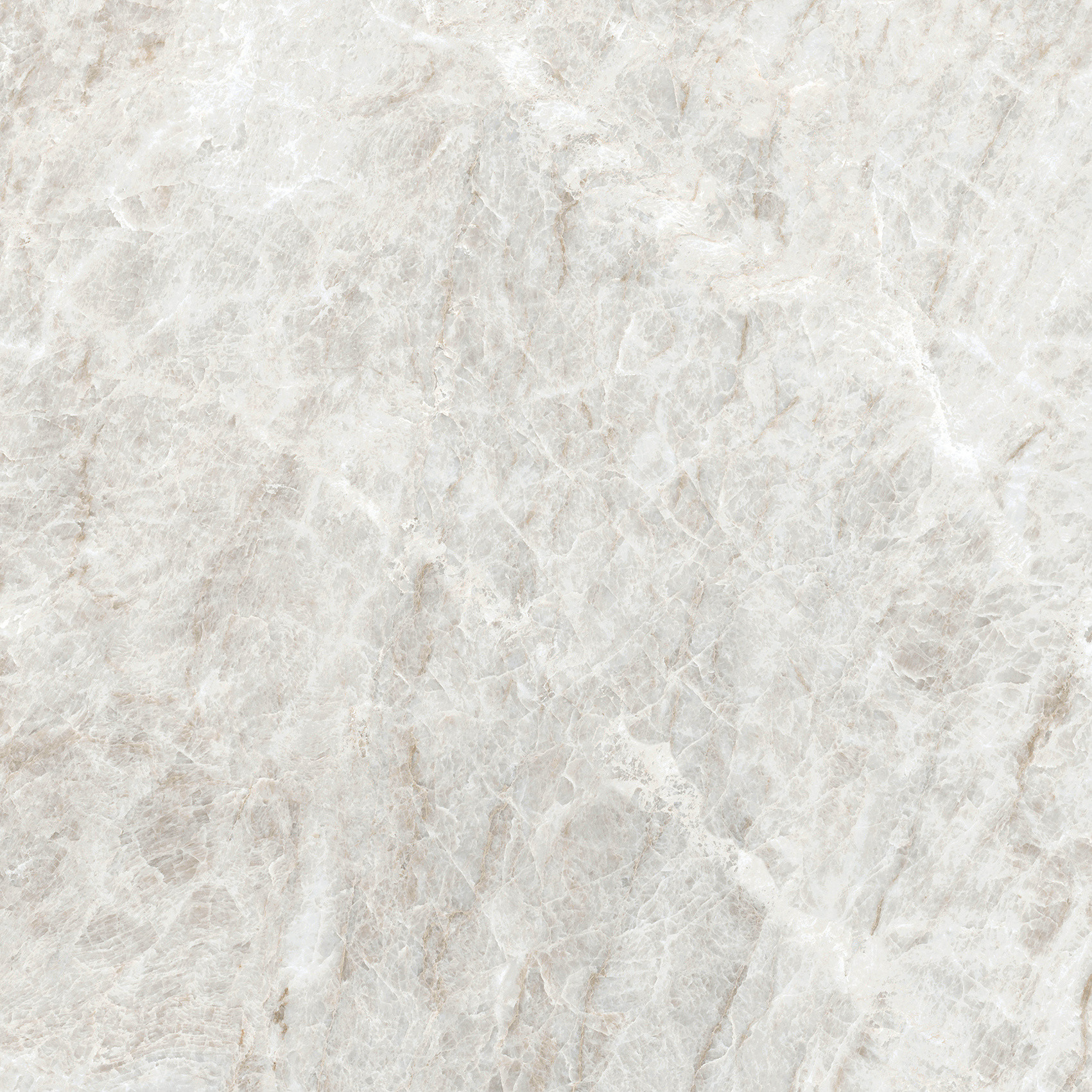 784549 Iconic Life Rice Yamuna Glossy 60x60 Cerim фото 5