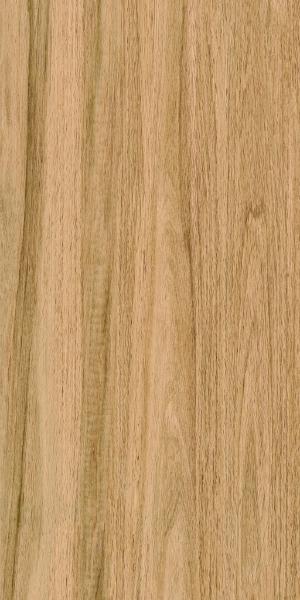 Greenwood Great Matt 60x120 Bonaparte