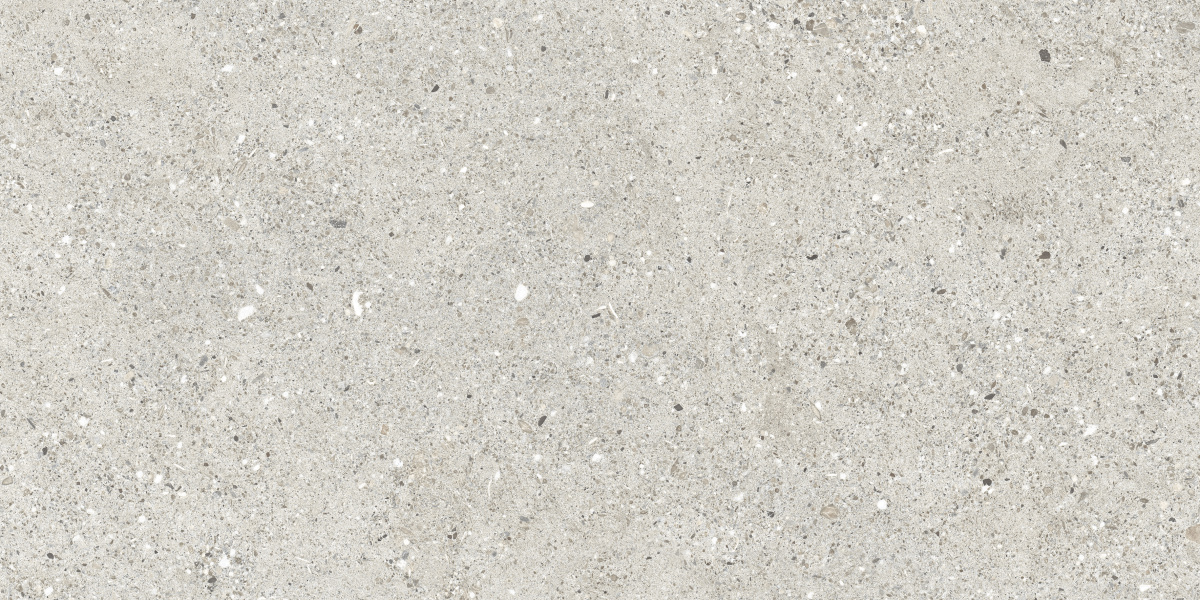 CR6012G0471R Granito Grigio серый матовый 59,5х119,1 Ceradim