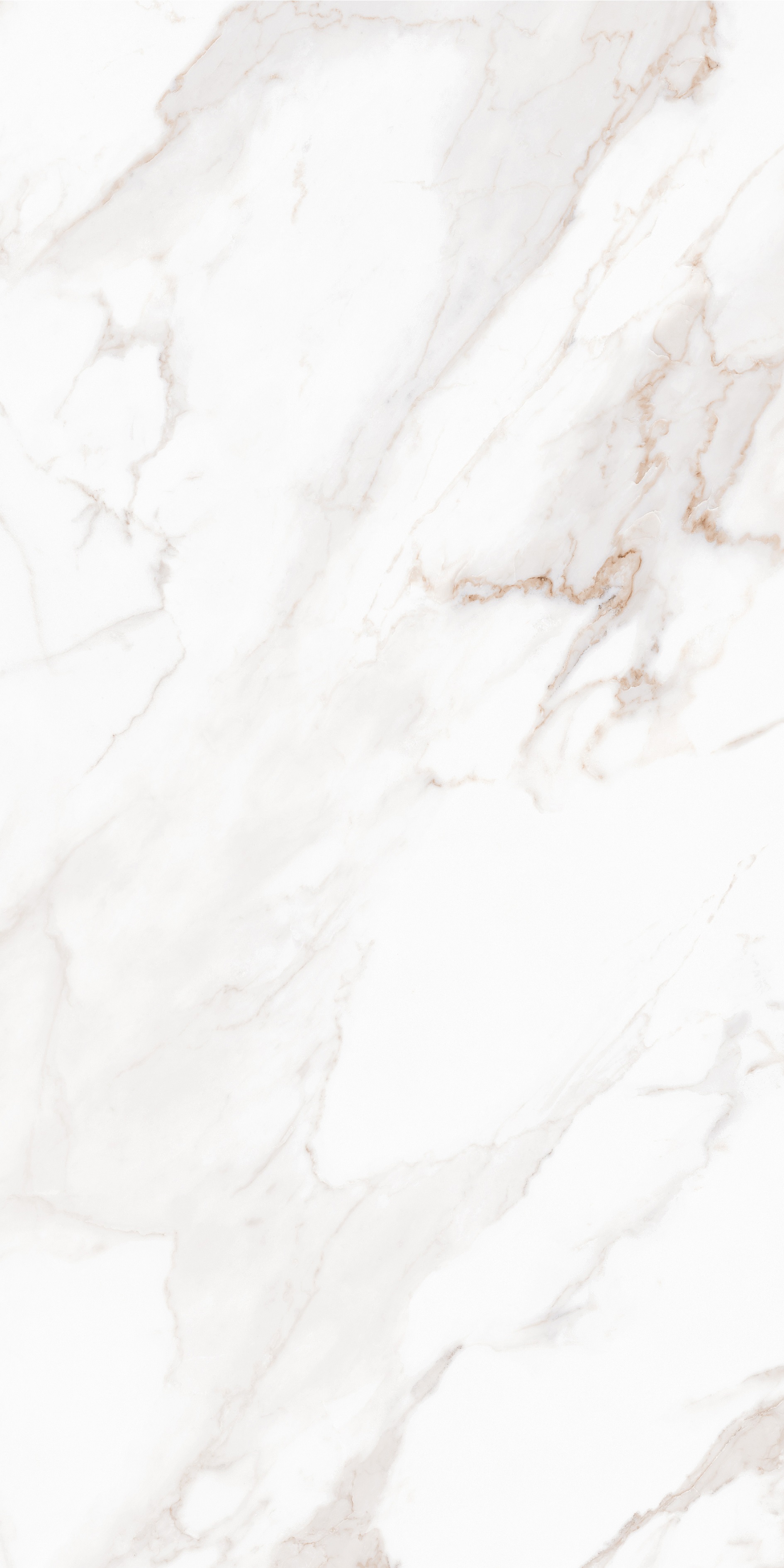 MPL-058632 Calacatta Satin 80x160 Creto