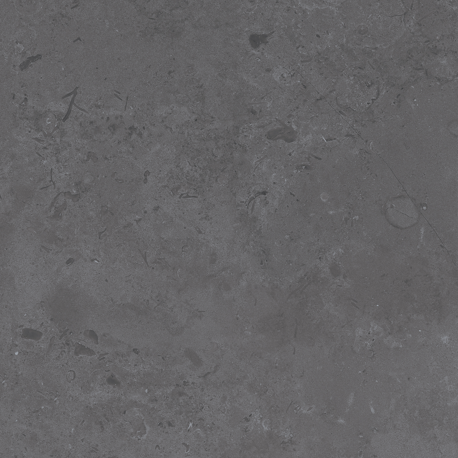 DD640800R Про Лаймстоун серый темный натуральный обрезной R10 60х60 Kerama Marazzi